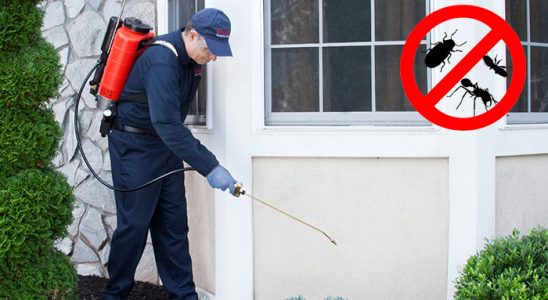 Develi Gümüşkurt İlaçlama böcek ilaçlama ve haşere kontrolü — ilaclama-tr.com